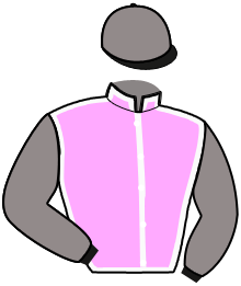 Casaque de NICE BOY BOURBON