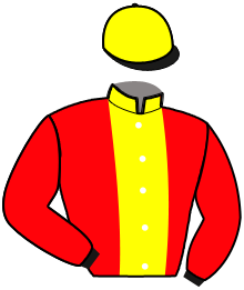 Casaque de MAJORFLASH